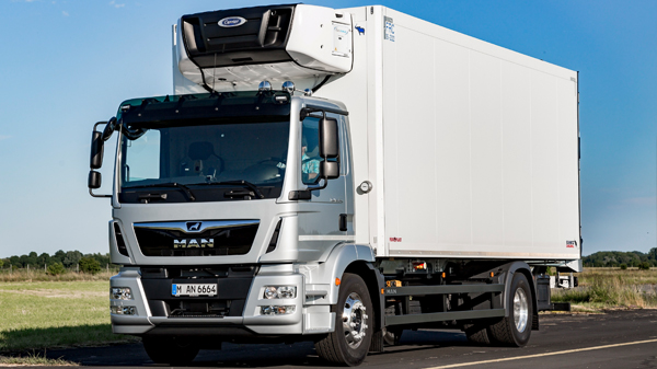 MAN TGM (2013-)