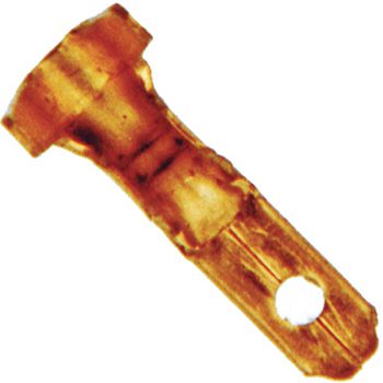 Connect B51